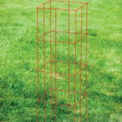 Collapsible Tomato Cage, Set Of 3