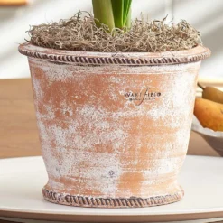 Roulette Pot And Saucer