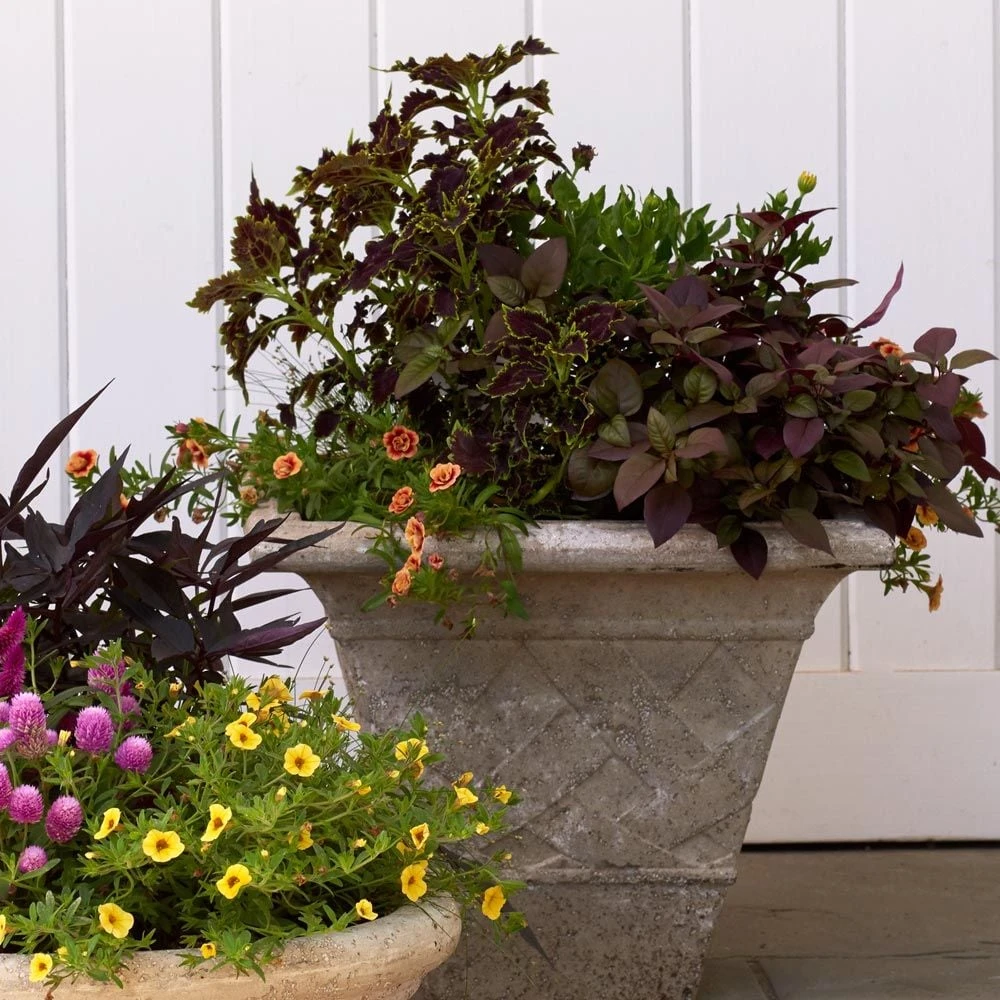 Lattice Square Pot 1 Lattice Square Pot