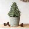 Lavender Tree In Honeycomb Metal Cachepot