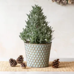 Lavender Tree In Honeycomb Metal Cachepot