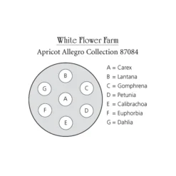 Apricot Allegro Annual Collection 17 Apricot Allegro Annual Collection -Leaf Sprigs Sales Store x600 10817