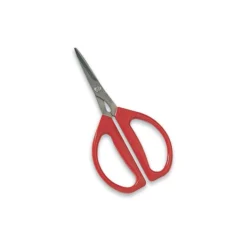 Foliage Plant Success Kit -Leaf Sprigs Sales Store x600 1382