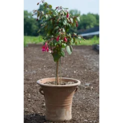 Cretan Pot Konstantina