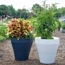 Sausalito Self-Watering Container, White