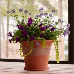 Sicilian Lemon Pot -Leaf Sprigs Sales Store x600 18679