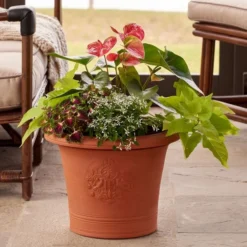 Lovebirds Pot -Leaf Sprigs Sales Store x600 18682