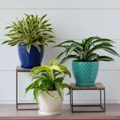 Tangiers Cachepot 5 Tangiers Cachepot -Leaf Sprigs Sales Store x600 19310