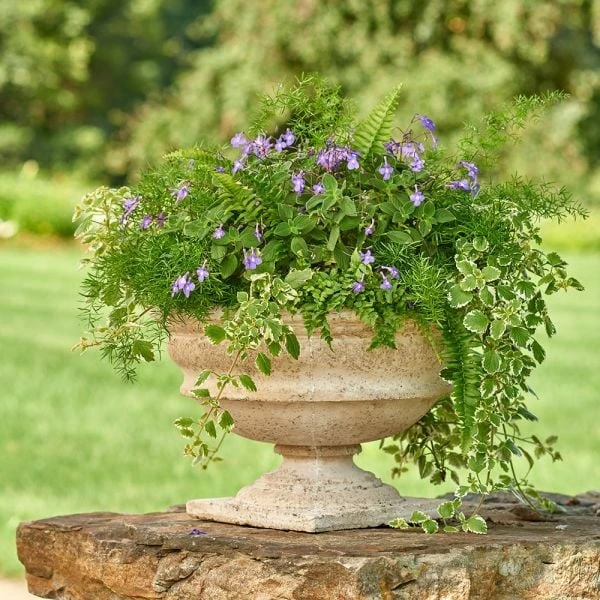 Milano Urn 2 Milano Urn - Image 2