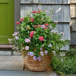 Cretan Pot Suzan -Leaf Sprigs Sales Store x600 24140