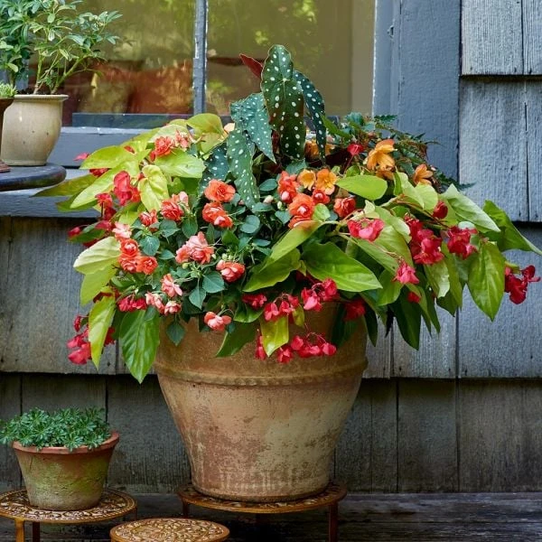 Cretan Pot Glastra 1 Cretan Pot Glastra