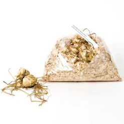 Lilium Pastel Shades Mix For Naturalizing -Leaf Sprigs Sales Store x600 30702