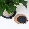 Cork And Felt Plant Trivet Set