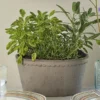 Gray Cottage Dish Planter And Saucer, 8½" Wide
