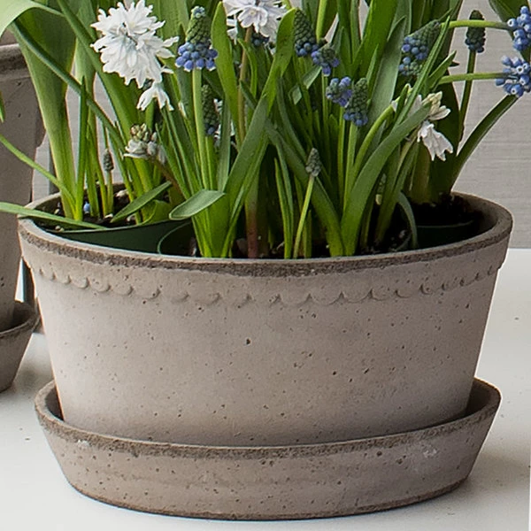 Gray Cottage Dish Planter And Saucer, 8½" Wide 2 Gray Cottage Dish Planter And Saucer, 8½" Wide - Image 2