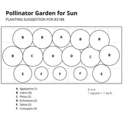 Pollinator Garden For Sun -Leaf Sprigs Sales Store x600 37399