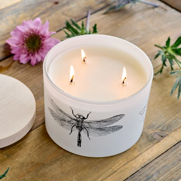 Citronella Sea Salt Candle – Dragonfly 1 Citronella Sea Salt Candle – Dragonfly