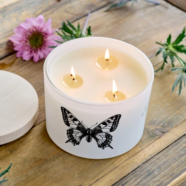 Citronella Citrus & Basil Candle – Butterfly 1 Citronella Citrus & Basil Candle – Butterfly