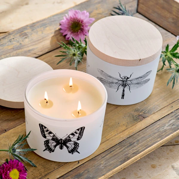 Citronella Citrus & Basil Candle – Butterfly 2 Citronella Citrus & Basil Candle – Butterfly - Image 2
