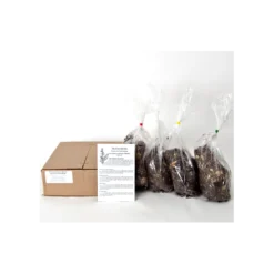 Emerald Isle Hosta Collection 15 Emerald Isle Hosta Collection -Leaf Sprigs Sales Store x600 920