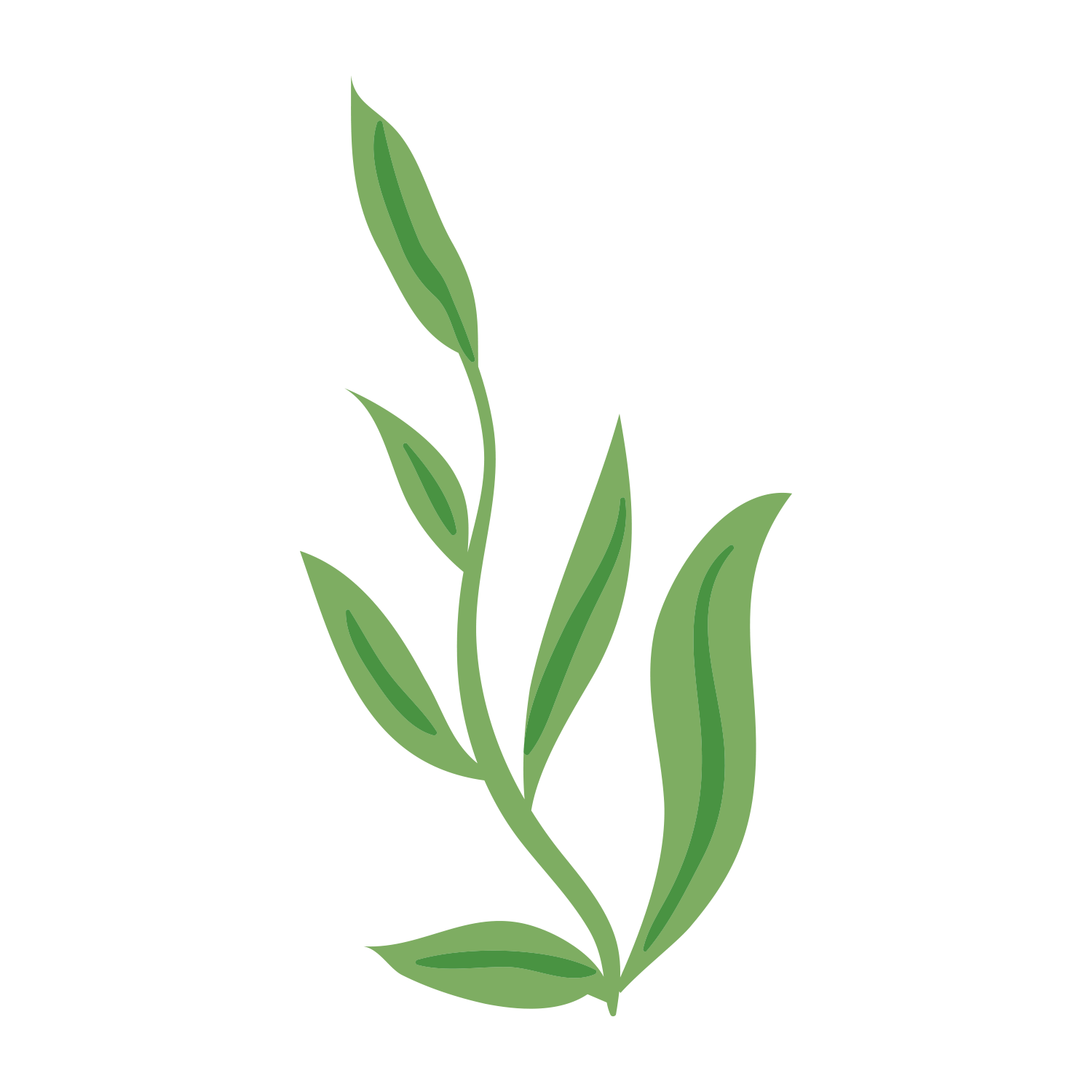 Leaf Sprigs Sales Store